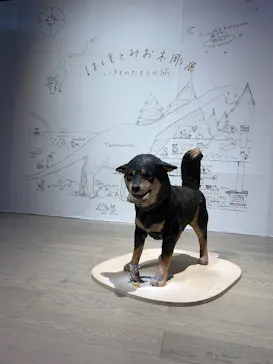 はしもとみお木彫展 いきものたちとの旅（氷見市芸術文化館）に投稿された画像（2026/5/20）
