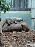 名古屋市東山動植物園に投稿された画像（2026/5/20）