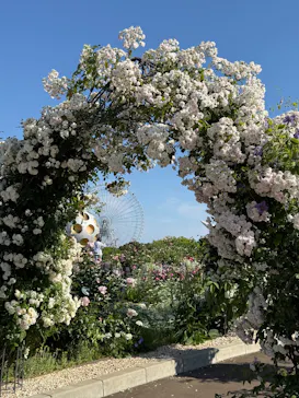 万博記念公園に投稿された画像（2026/5/20）