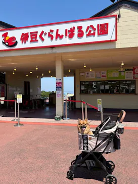 伊豆ぐらんぱる公園に投稿された画像（2026/5/20）