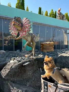 伊豆ぐらんぱる公園に投稿された画像（2026/5/20）