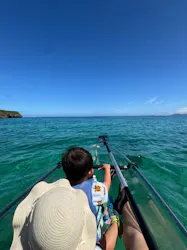 沖縄マングローブカヤック＆シーカヤック専門　海遊俱楽部に投稿された画像（2026/5/21）