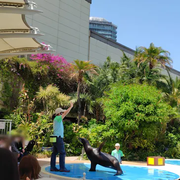 サンシャイン水族館に投稿された画像（2026/5/21）