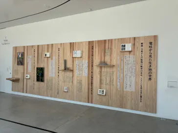 金沢21世紀美術館に投稿された画像（2026/5/21）