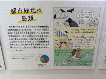特別展「鳥 ～ゲノム解析が解き明かす新しい鳥類の系統～」に投稿された画像（2026/5/21）