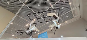 特別展「鳥 ～ゲノム解析が解き明かす新しい鳥類の系統～」に投稿された画像（2026/5/21）