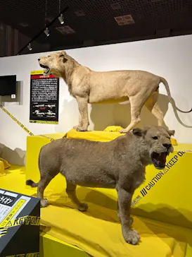 特別展「超危険生物展　科学で挑む生き物の本気」に投稿された画像（2026/5/21）