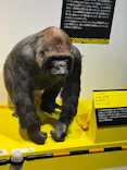 特別展「超危険生物展　科学で挑む生き物の本気」に投稿された画像（2026/5/21）