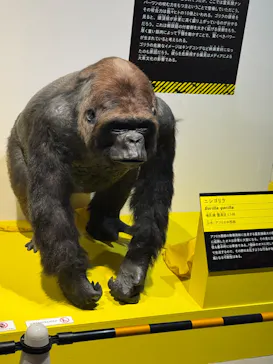 特別展「超危険生物展　科学で挑む生き物の本気」に投稿された画像（2026/5/21）