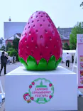 札幌ストロベリーフェスティバル2026に投稿された画像（2026/5/21）