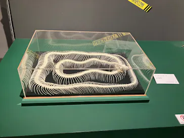 特別展「超危険生物展　科学で挑む生き物の本気」に投稿された画像（2026/5/21）