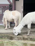 名古屋市東山動植物園に投稿された画像（2026/5/21）