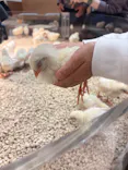 Moff animal cafe イオンモール新利府店に投稿された画像（2026/5/21）