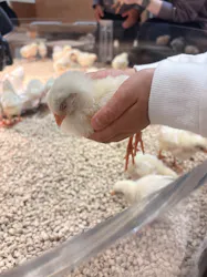 Moff animal cafe イオンモール新利府店に投稿された画像（2026/5/21）