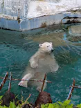 天王寺動物園に投稿された画像（2026/5/21）