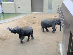 天王寺動物園に投稿された画像（2026/5/21）