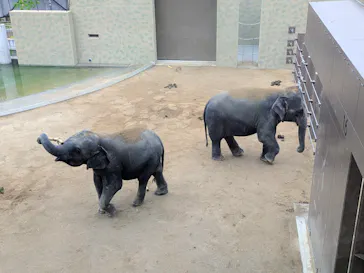 天王寺動物園に投稿された画像（2026/5/21）