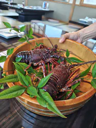 鳥羽　海鮮料理　屋形船　おきたに投稿された画像（2026/5/21）