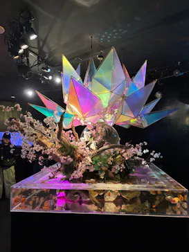 NARA KINGYO MUSEUMに投稿された画像（2026/5/21）