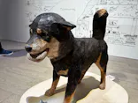 はしもとみお木彫展 いきものたちとの旅（氷見市芸術文化館）に投稿された画像（2026/5/21）