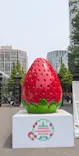 札幌ストロベリーフェスティバル2026に投稿された画像（2026/5/21）