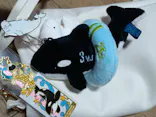 名古屋港水族館に投稿された画像（2026/5/21）