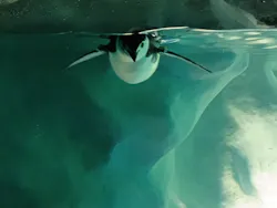 名古屋港水族館に投稿された画像（2026/5/21）