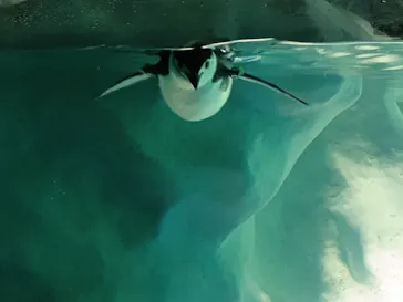 名古屋港水族館に投稿された画像（2026/5/21）