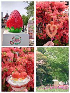 札幌ストロベリーフェスティバル2026に投稿された画像（2026/5/21）