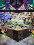 NARA KINGYO MUSEUMに投稿された画像（2026/5/21）