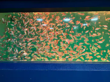 のとじま水族館に投稿された画像（2026/5/21）