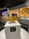 万博記念公園に投稿された画像（2026/5/22）