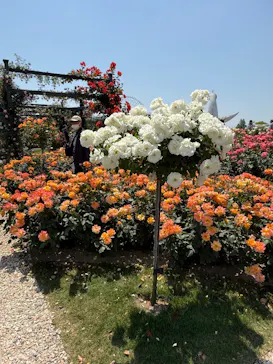万博記念公園に投稿された画像（2026/5/21）