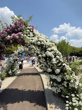 万博記念公園に投稿された画像（2026/5/21）
