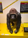 特別展「超危険生物展　科学で挑む生き物の本気」に投稿された画像（2026/5/22）