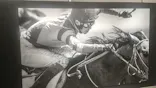 武豊 デビュー40年 ～前人未到の記録～　（銀座三越）に投稿された画像（2026/5/22）