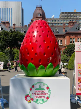 札幌ストロベリーフェスティバル2026に投稿された画像（2026/5/22）