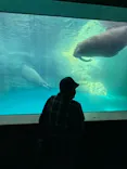 大分マリーンパレス水族館 「うみたまご」に投稿された画像（2026/5/22）