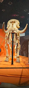 特別展「超危険生物展　科学で挑む生き物の本気」に投稿された画像（2026/5/22）