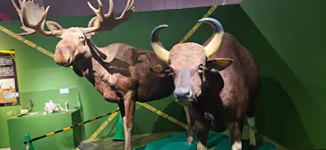 特別展「超危険生物展　科学で挑む生き物の本気」に投稿された画像（2026/5/22）
