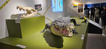 特別展「超危険生物展　科学で挑む生き物の本気」に投稿された画像（2026/5/22）