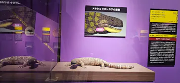 特別展「超危険生物展　科学で挑む生き物の本気」に投稿された画像（2026/5/22）
