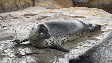 しながわ水族館に投稿された画像（2026/5/22）