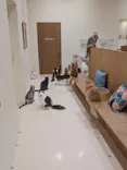 Cat Café MOFF イオンモール豊川店に投稿された画像（2026/5/22）