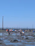 牛込海岸潮干狩りに投稿された画像（2026/5/22）