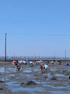 牛込海岸潮干狩りに投稿された画像（2026/5/22）