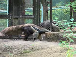 名古屋市東山動植物園に投稿された画像（2026/5/22）
