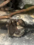 名古屋市東山動植物園に投稿された画像（2026/5/22）
