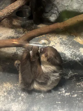 名古屋市東山動植物園に投稿された画像（2026/5/22）