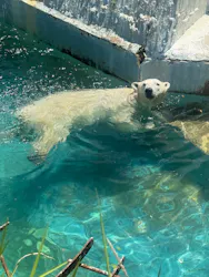 天王寺動物園に投稿された画像（2026/5/22）